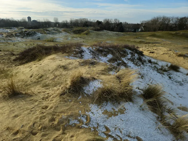 Oostnieuwkerke duinen wandeling in de koude (België)